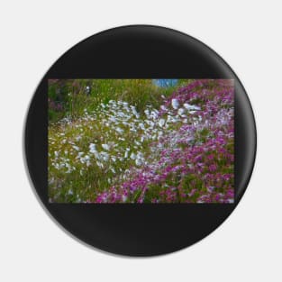 Moorland Cotton grass (Eriophorum) Pin