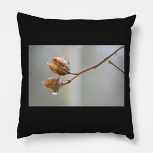 Rose of Sharon branch ~ prior to Spring Pillow