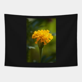 Marigold II Tapestry