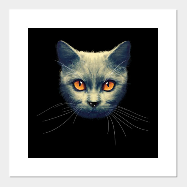 Cat T Shirt Cute Kitty T Shirt 3d Print Your Magic Cat Cat