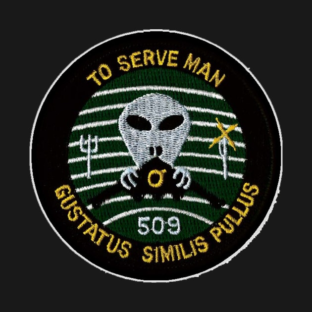 509th Bomb Wing Patch by Spacestuffplus