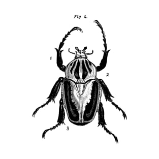 Beetle Fig 4. T-Shirt