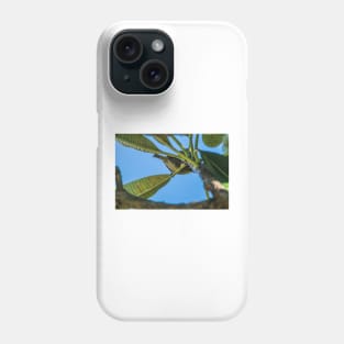 japanese white eye 22 Phone Case