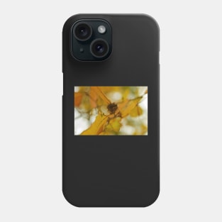 NUTS ABOUT AUTUMN Phone Case