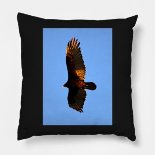 Turkey Vulture Pillow