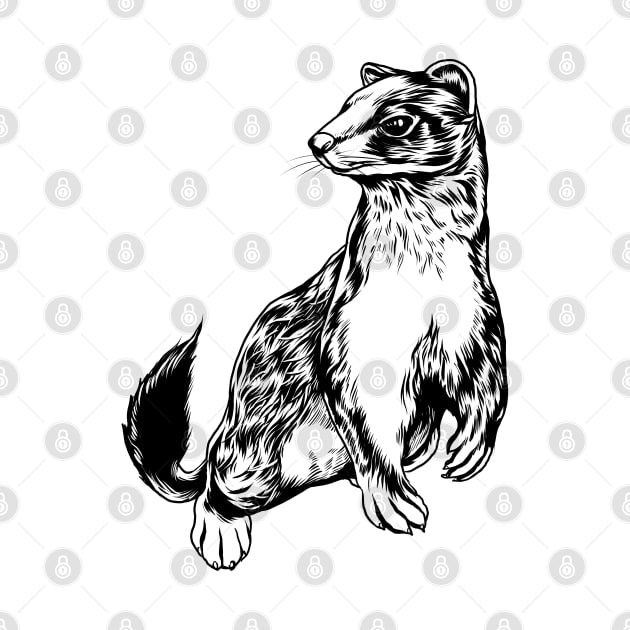 Drawing of a stoat by Modern Medieval Design