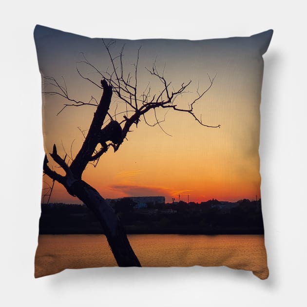 dry tree over sunset Pillow by psychoshadow