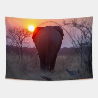 African Elephant in the sunset in Botswana Tapestry