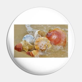 Seashells by the Seashore Pin