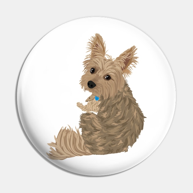 yorkshire terrier Pin by quirkyandkind