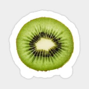 Kiwi Magnet