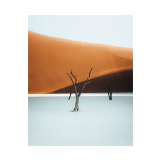 Deadvlei 2 T-Shirt