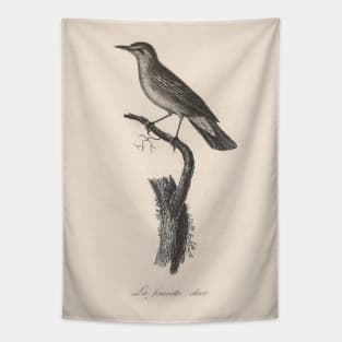 The Olive Warbler Tapestry