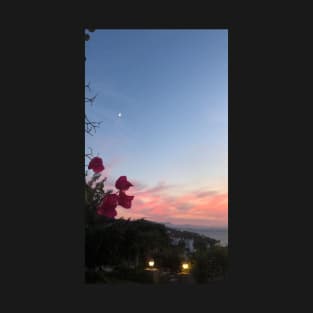 aesthetic phone case landscape gorgeous beautiful blue flowers sunset sunrise T-Shirt