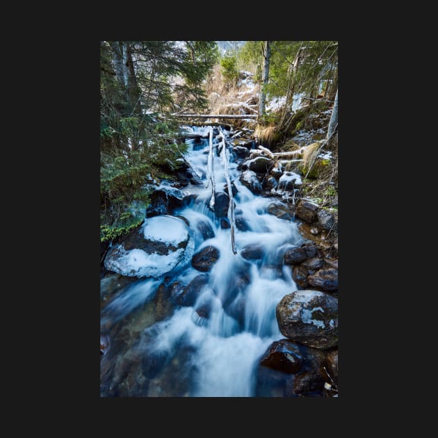 Frozen creek in winter by naturalis