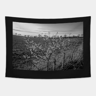 Hedge row in the countryside at dusk Tapestry