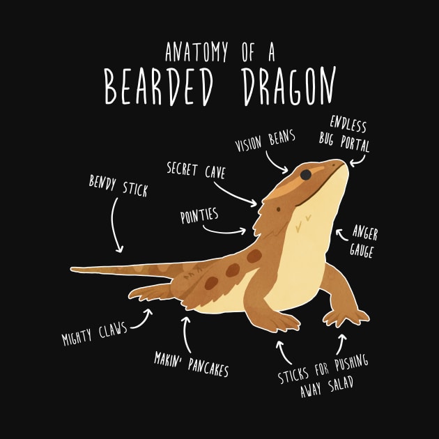 Anatomy of a Bearded Dragon by Psitta