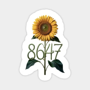 8647 Magnet