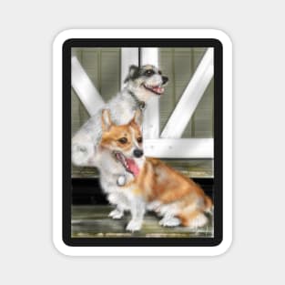 Corgi and Jack Russell Terrier Best Friends Magnet