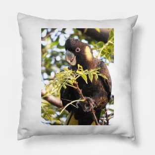 Yellow-tailed Black Cockatoo Pillow