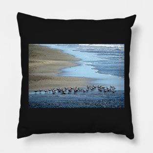 Nicaragua - Oiseaux sur la plage Pillow