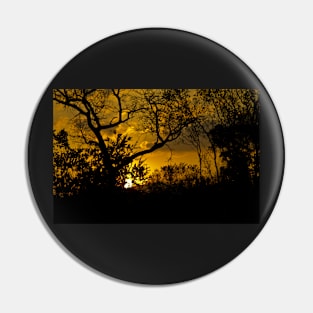 African Sunset Pin