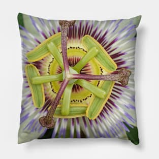 Passion Flower Pillow