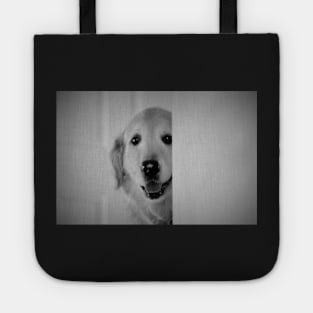 Being bashful... Tote