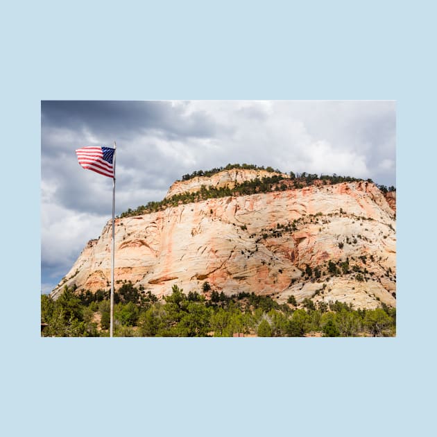 American Flag at Zion National Park by Debra Martz