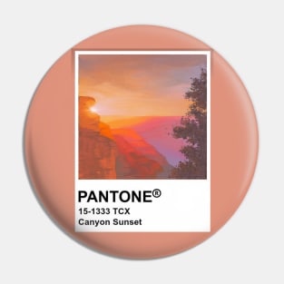 Pantone Swatch Canyon Sunset Pin