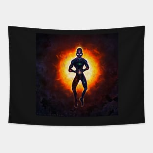 Microno Cosmos Tapestry