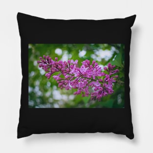 Purple Lilac Pillow