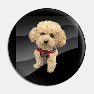 brown curly dog-vector art of the dog Pin