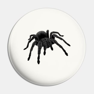 Spider Tarantula Pin