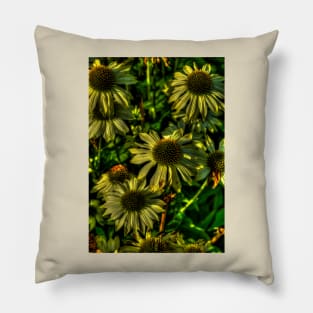 Yellow Echinacea Flowers Pillow