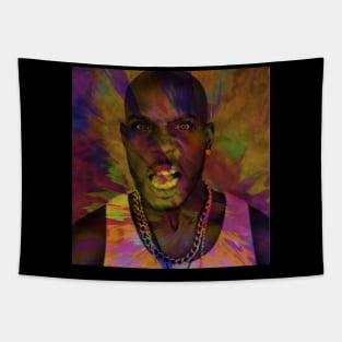 DMX Tapestry