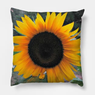 Sunny Sunflower Pillow