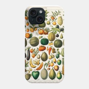 variety of fruits and vegetables Phone Case