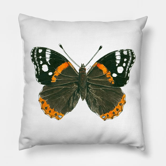 Admiral butterfly ink illustration Pillow by katerinamk