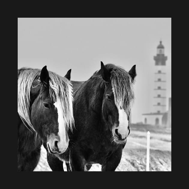 Horses of St Mathieu in the snow by rollier