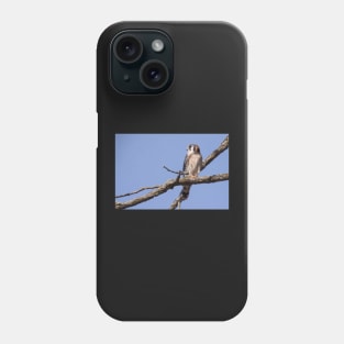 Kestrel Phone Case