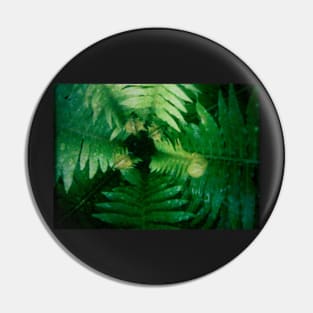 Fern Close-up Pin