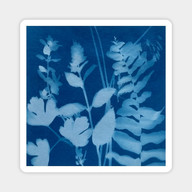 Blue Cyanotype Herb Garden Plants Print Magnet by softbluehum