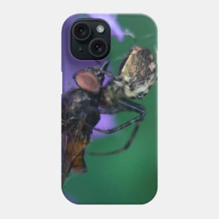 Spider Packs The Same Size Fly Phone Case