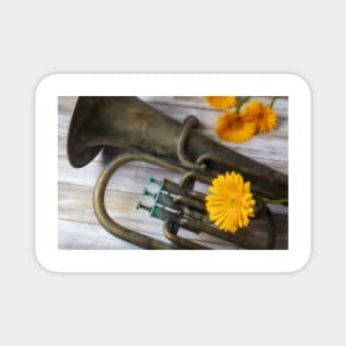 Old Weathered Tuba And Yellow Daisy Magnet