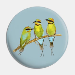 Rainbow Bee Eater Bird Pin