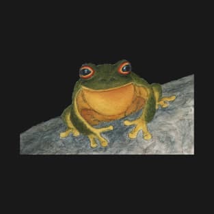 Frog on a rock T-Shirt