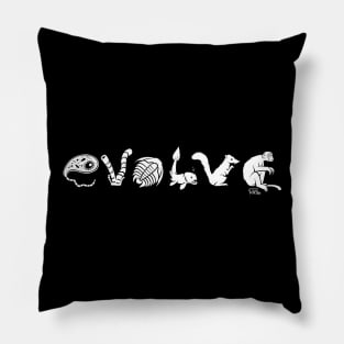 EVOLVE Pillow