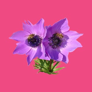 Purple Pink Anemones with Honey Bees Vector Art T-Shirt