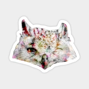 Owl Disco Magnet